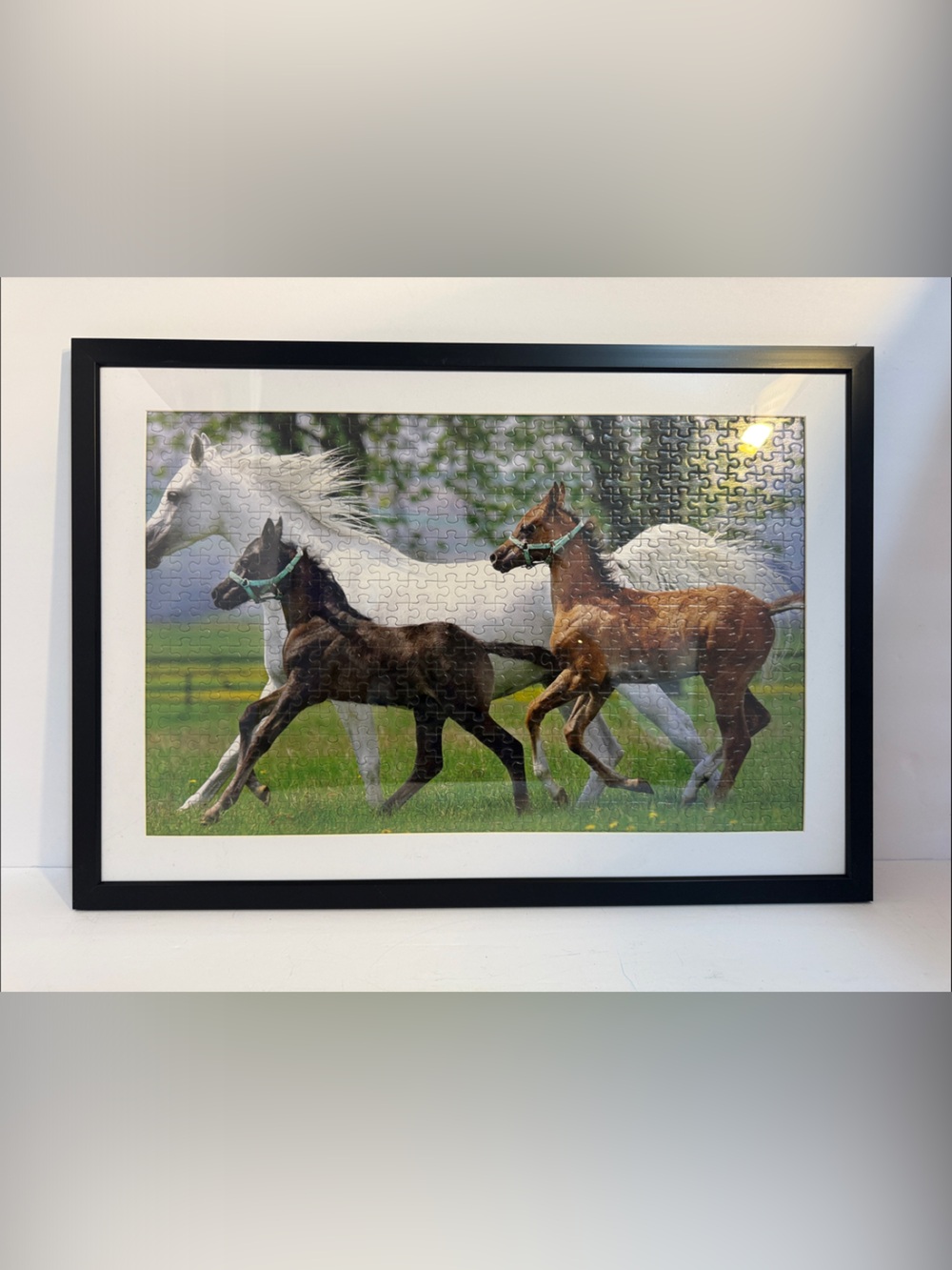 Framed Horse Puzzle Wall Art - Black Frame, White Mat